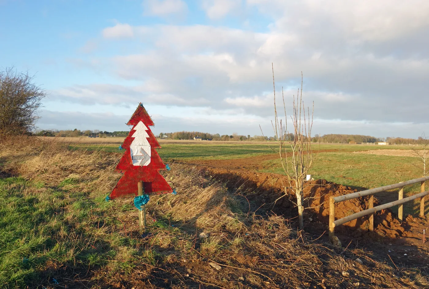 Cut Christmas trees for sale beside the A44 near Chipping Norton. This is not Perry Tree Farm.